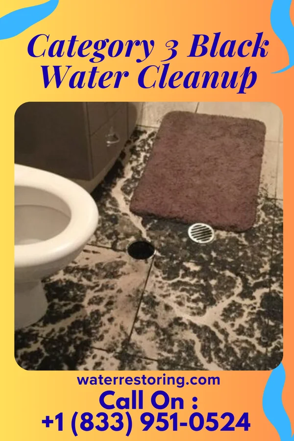 Category 3 Black Water Cleanup in Hickory Grove, SC